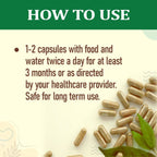 Ginger 90 Vegetarian Capsules