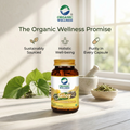 Giloy 90 Capsules