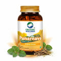 Punarnava 90 Capsules