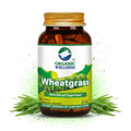 Wheat Grass 90 Capsules Bottle
