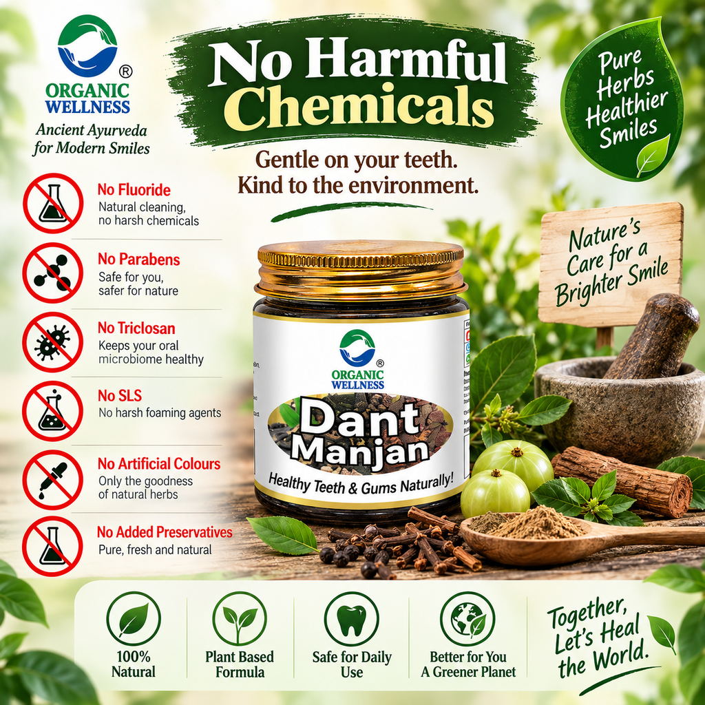 Organic Wellness Dant Manjan 50 Gram Bottle