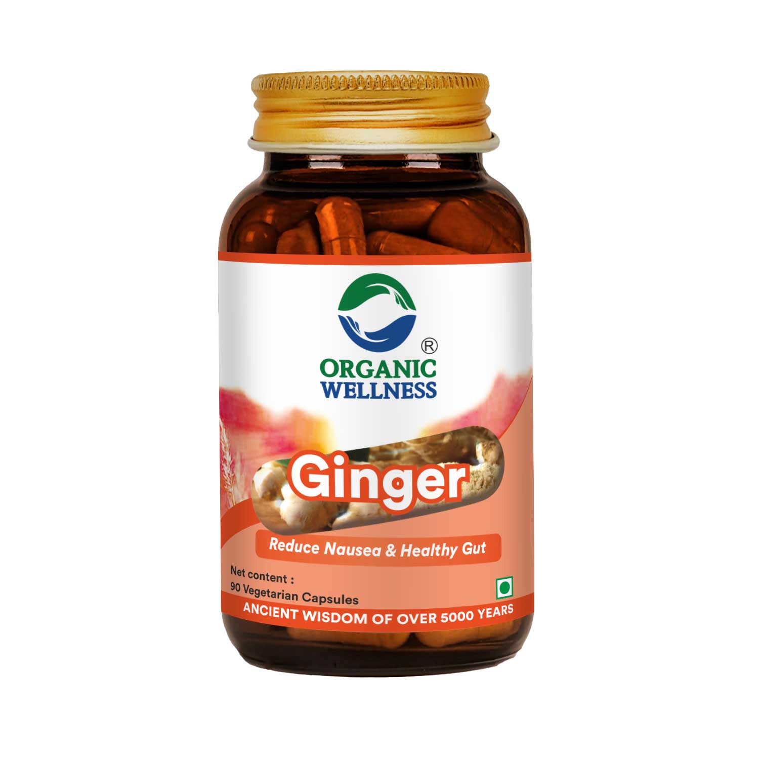 Ginger 90 Vegetarian Capsules