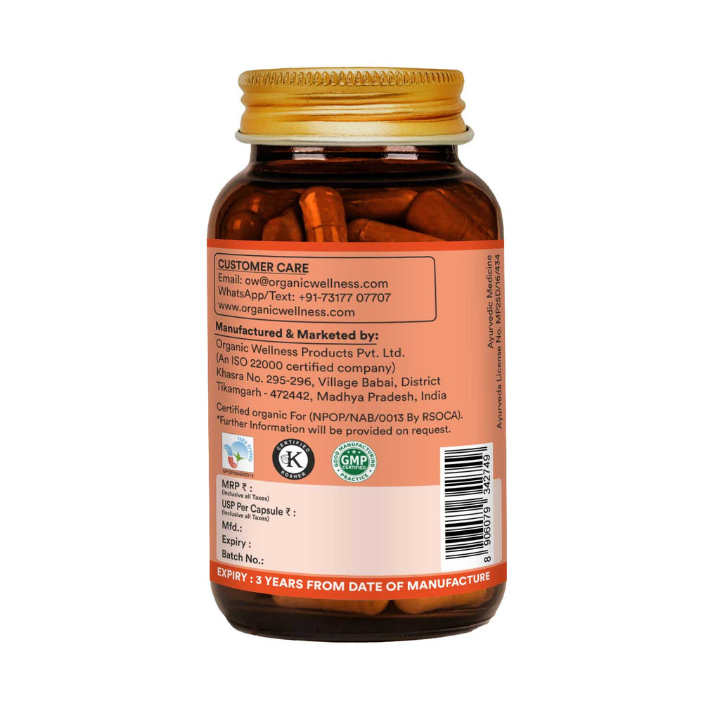 Ginger 90 Vegetarian Capsules