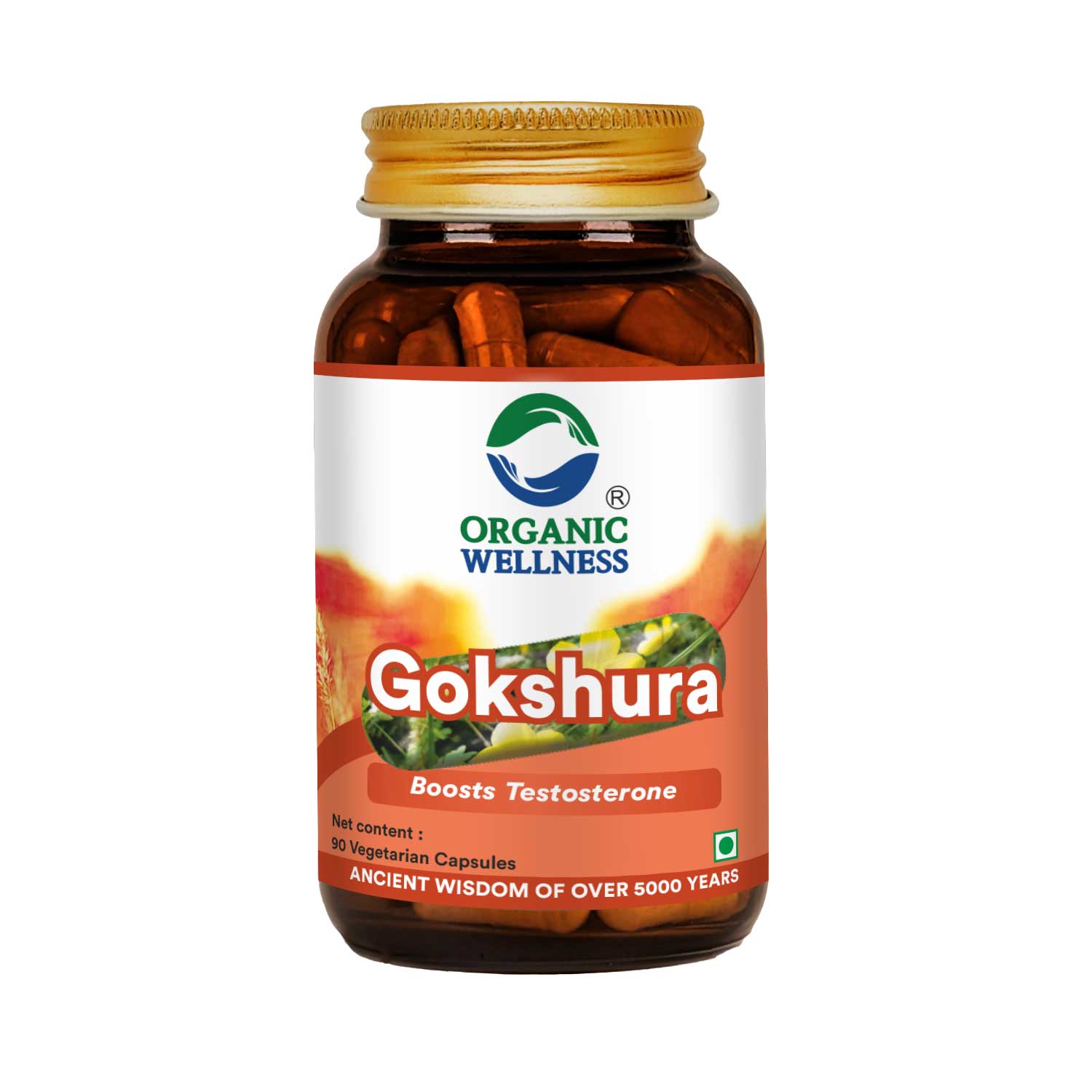 Gokhshura 90 Vegetarian Capsules