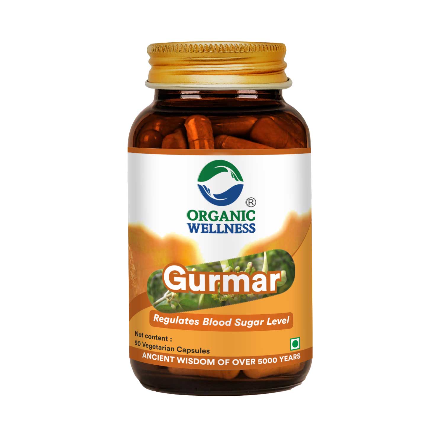 Gurmar 90 Vegetarian Capsules