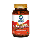 Organic Wellness Gut Sankatmochan 90 Capsules