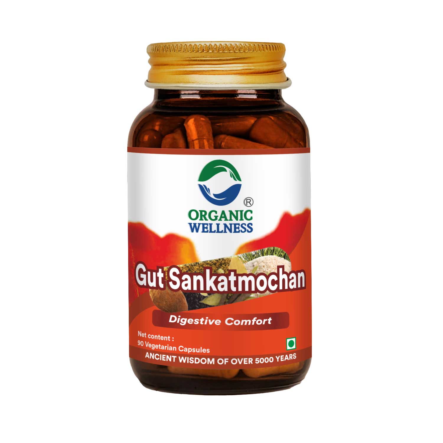 Organic Wellness Gut Sankatmochan 90 Capsules