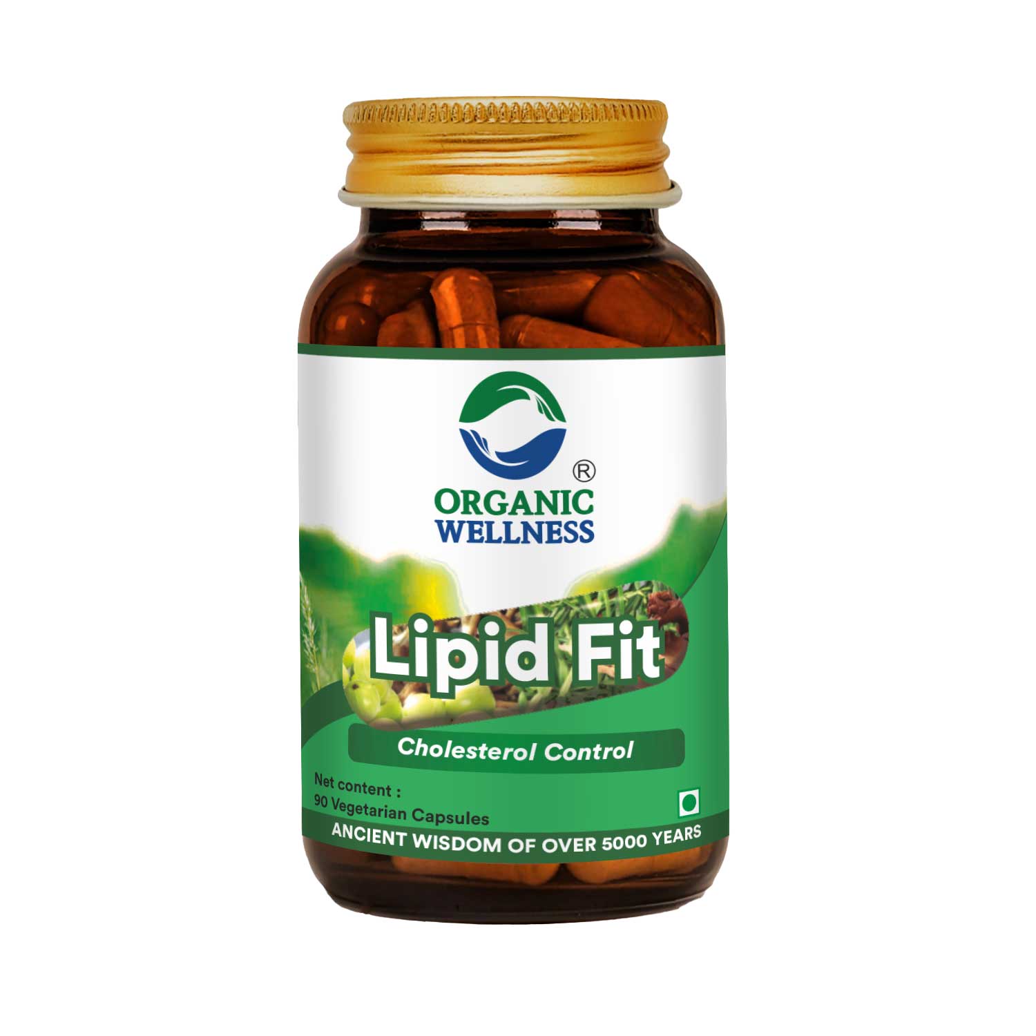 Lipid-Fit 90 Capsules