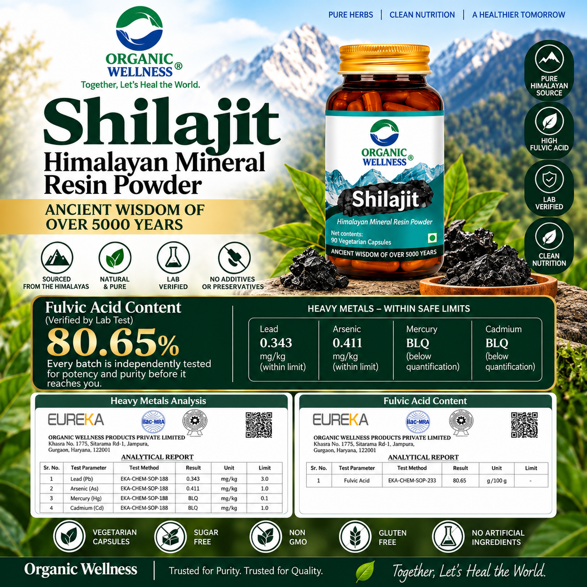 Organic Wellness Pure Himalayan Shilajit Capsules – Mineral Resin Powder for Energy & Stamina (60 Vegan Caps)