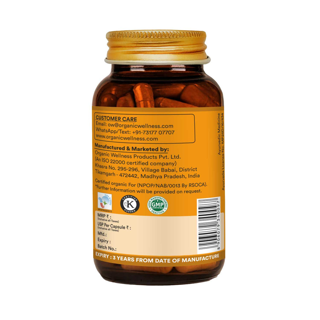 Turmeric Curcumin 90 Veg Capsules