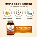 Organic Wellness Uric Balance for Controls High Uric Acid || Joint Pain Problems || Kidney Health Support || Cleanses Uric Acid (90 N Veg Capsules)