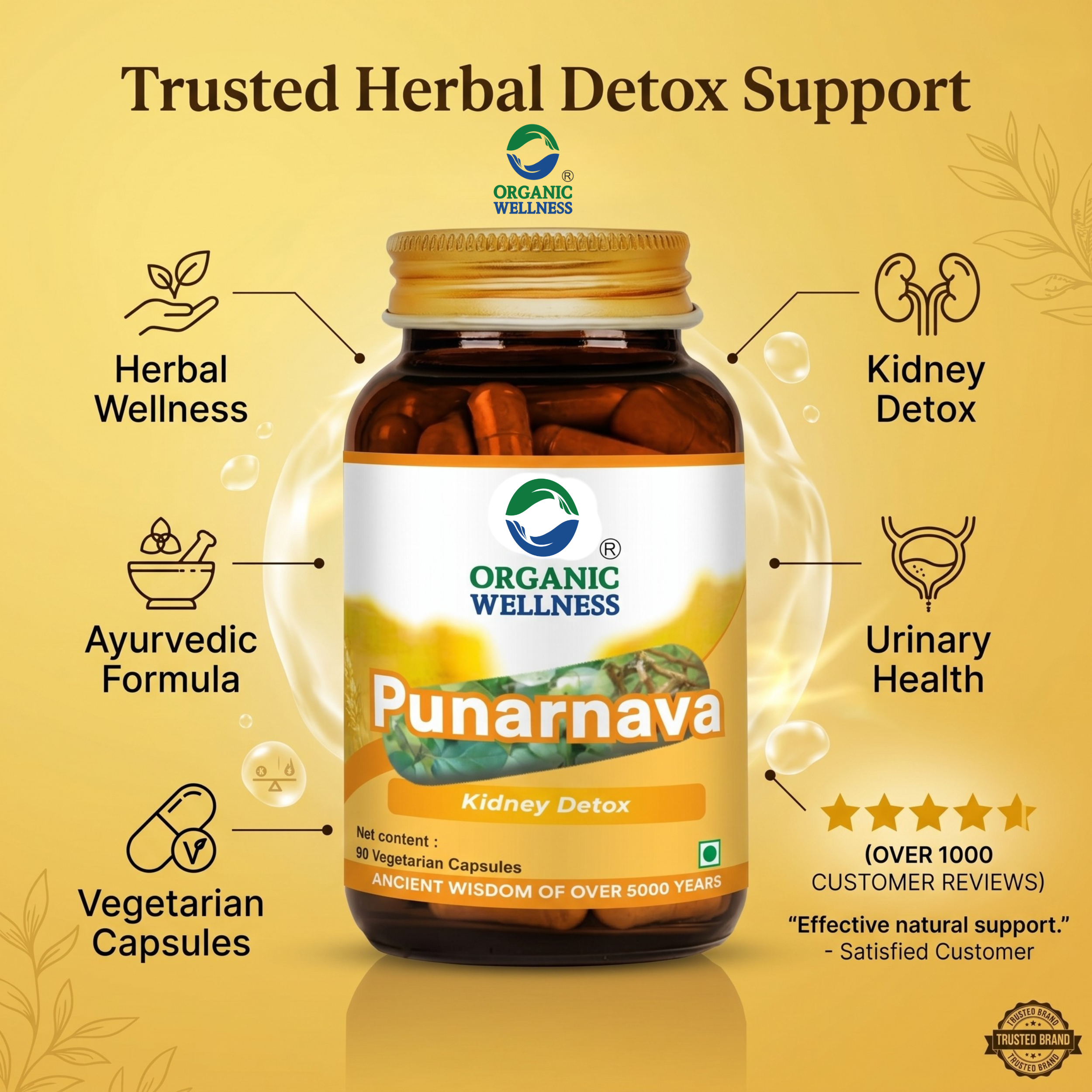 Punarnava 90 Capsules