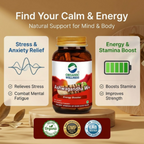 Ashwagandha | Certified Ashwagandha | For Immunity, Stress Relief & General Wellness | 90 Capsule Bottle