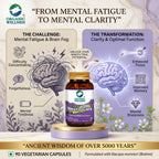 Organic Wellness Neuro Care || Nervous System Support || Brain Nerve Balance Supplement || (90 N Veg Capsules)