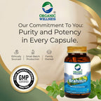 Organic Wellness Brahmi+ 90 Capsules II Memory Booster