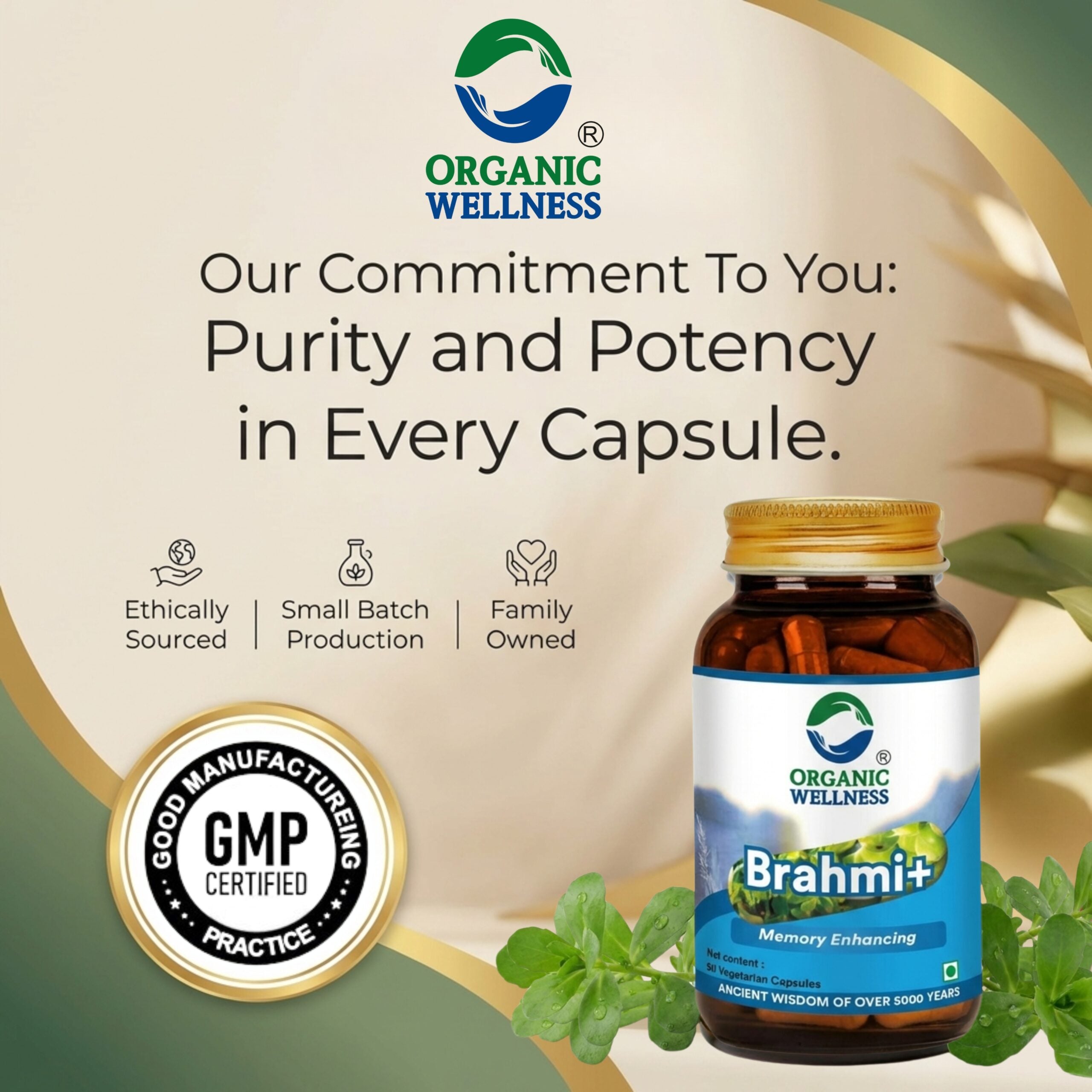 Organic Wellness Brahmi+ 90 Capsules II Memory Booster