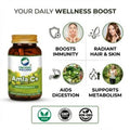 Amla Capsules – Vitamin C – Antioxidant – 90 Veg Capsules