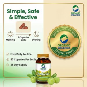 Amla Capsules – Vitamin C – Antioxidant – 90 Veg Capsules