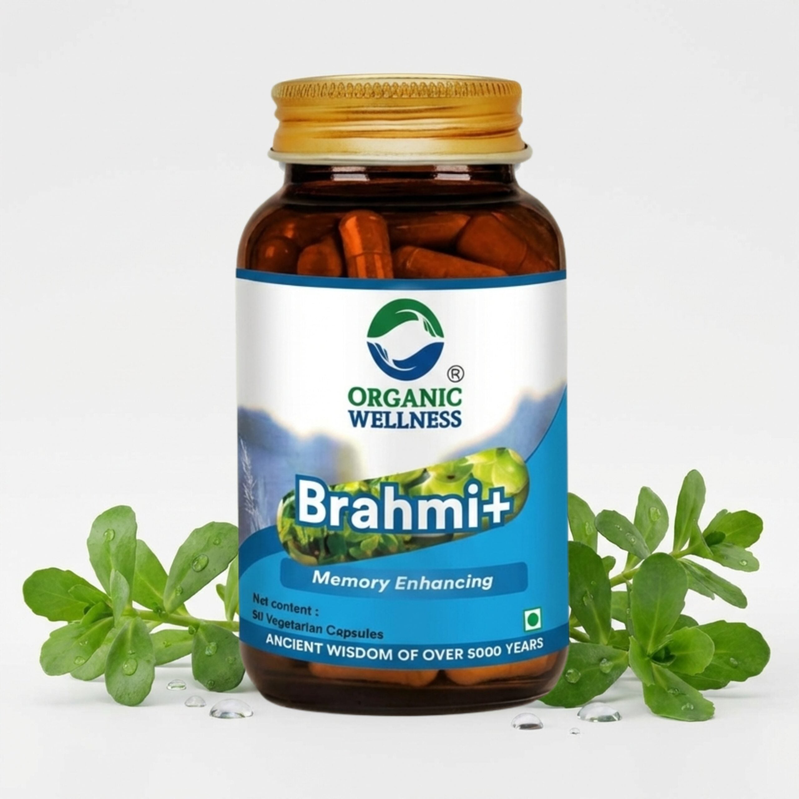 Organic Wellness Brahmi+ 90 Capsules II Memory Booster