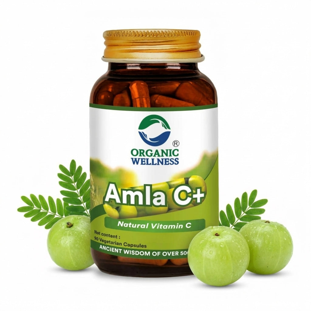 Amla Capsules – Vitamin C – Antioxidant – 90 Veg Capsules